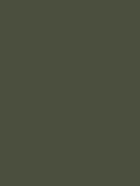Olive vinyl